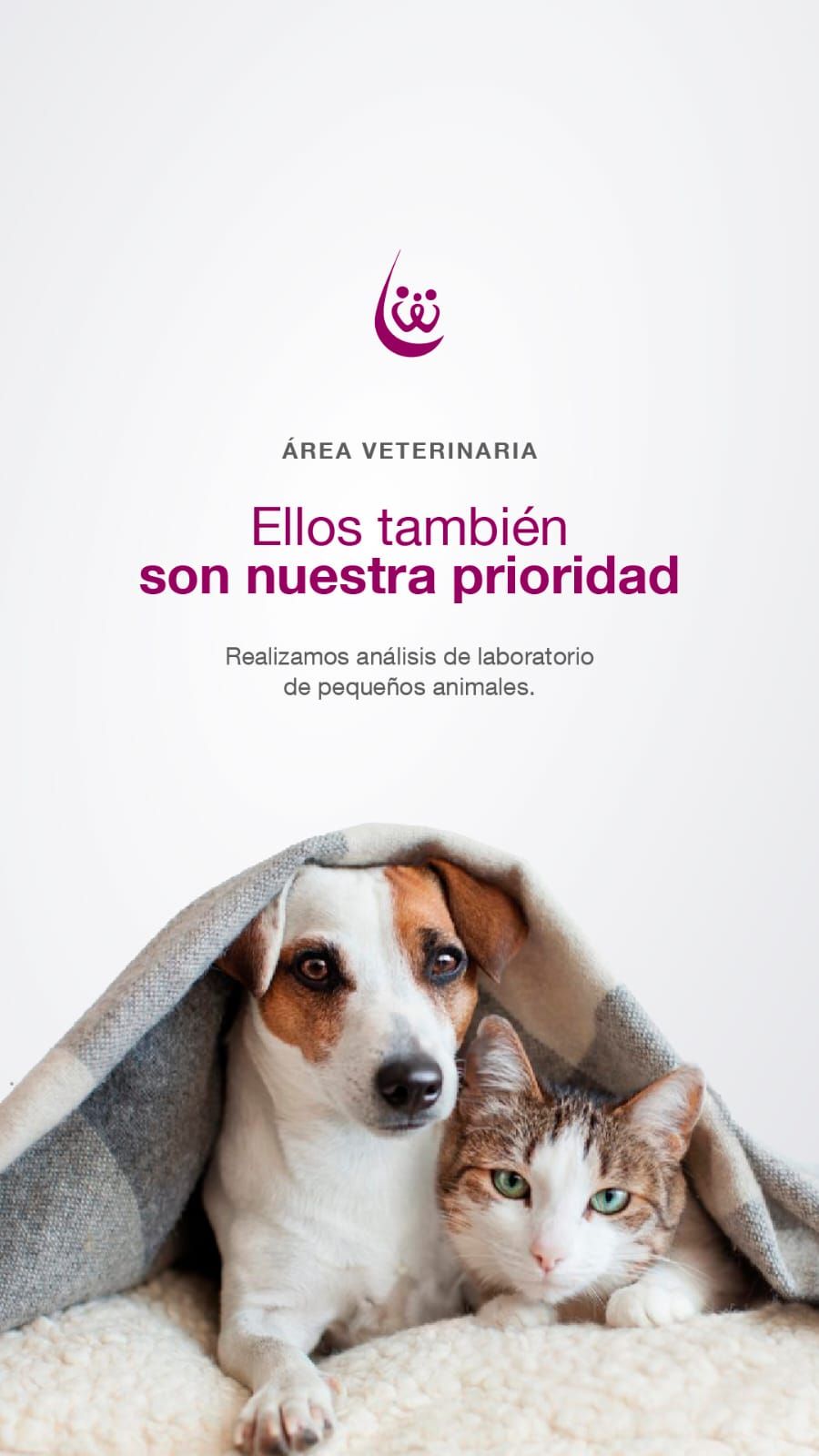 Laboratorio CEB